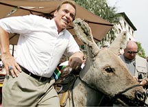 Arnold Schwarzenegger with stuffed burro on Olvera Street