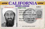 Osama Drivers License
